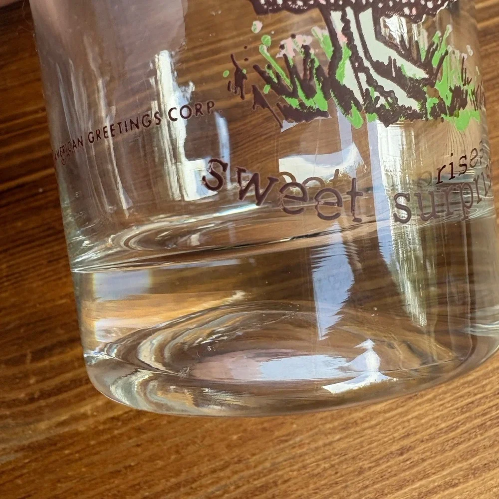 Vintage Holly Hobbie American Greetings Set of 2 Drinking Glasses Tumblers